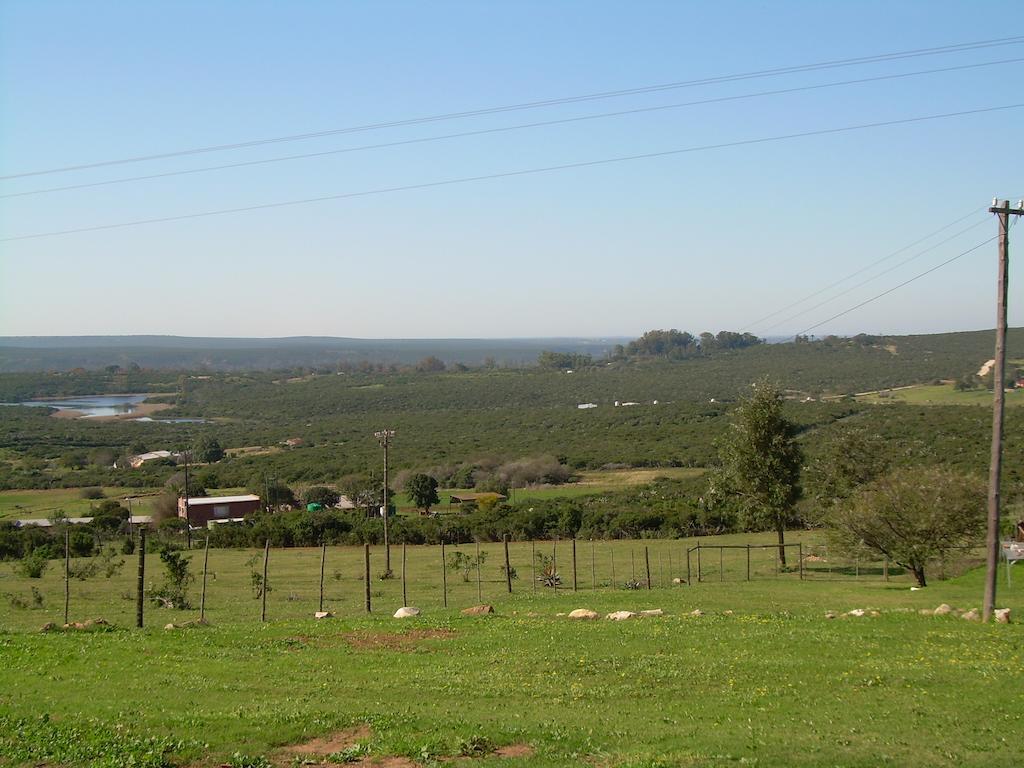 The Hexagon Wildlife Conservation Hotel Uitenhage ภายนอก รูปภาพ